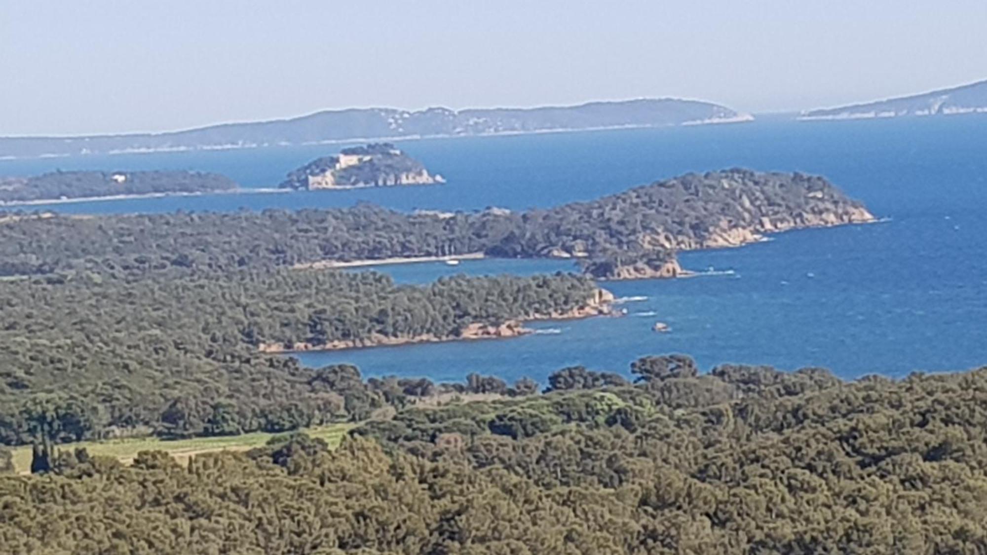 Rez De Jardin T3 Recent Et Calme Au Nouvelles Terres A La Londe Les Maures Apartamento Exterior foto