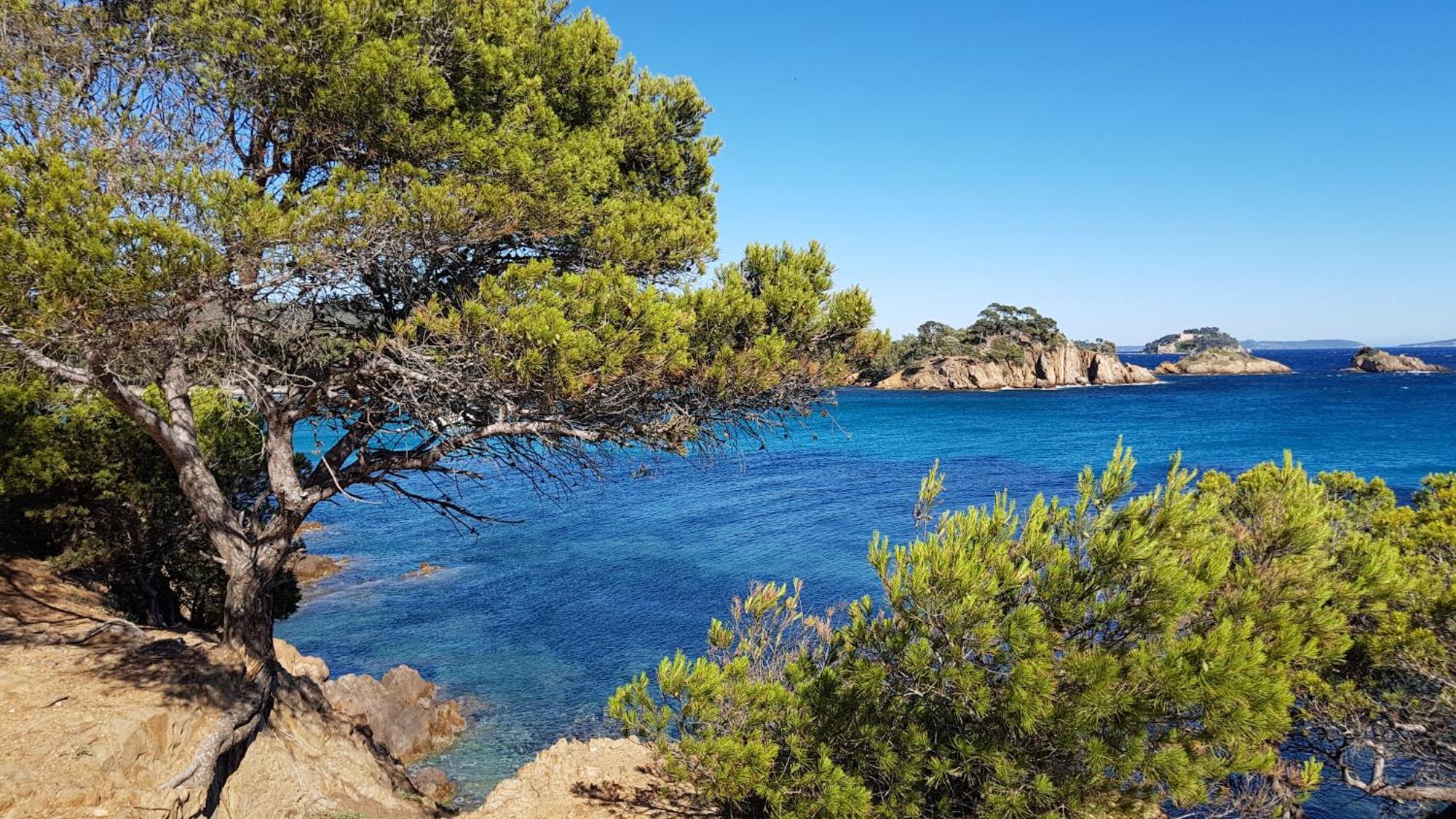 Rez De Jardin T3 Recent Et Calme Au Nouvelles Terres A La Londe Les Maures Apartamento Exterior foto