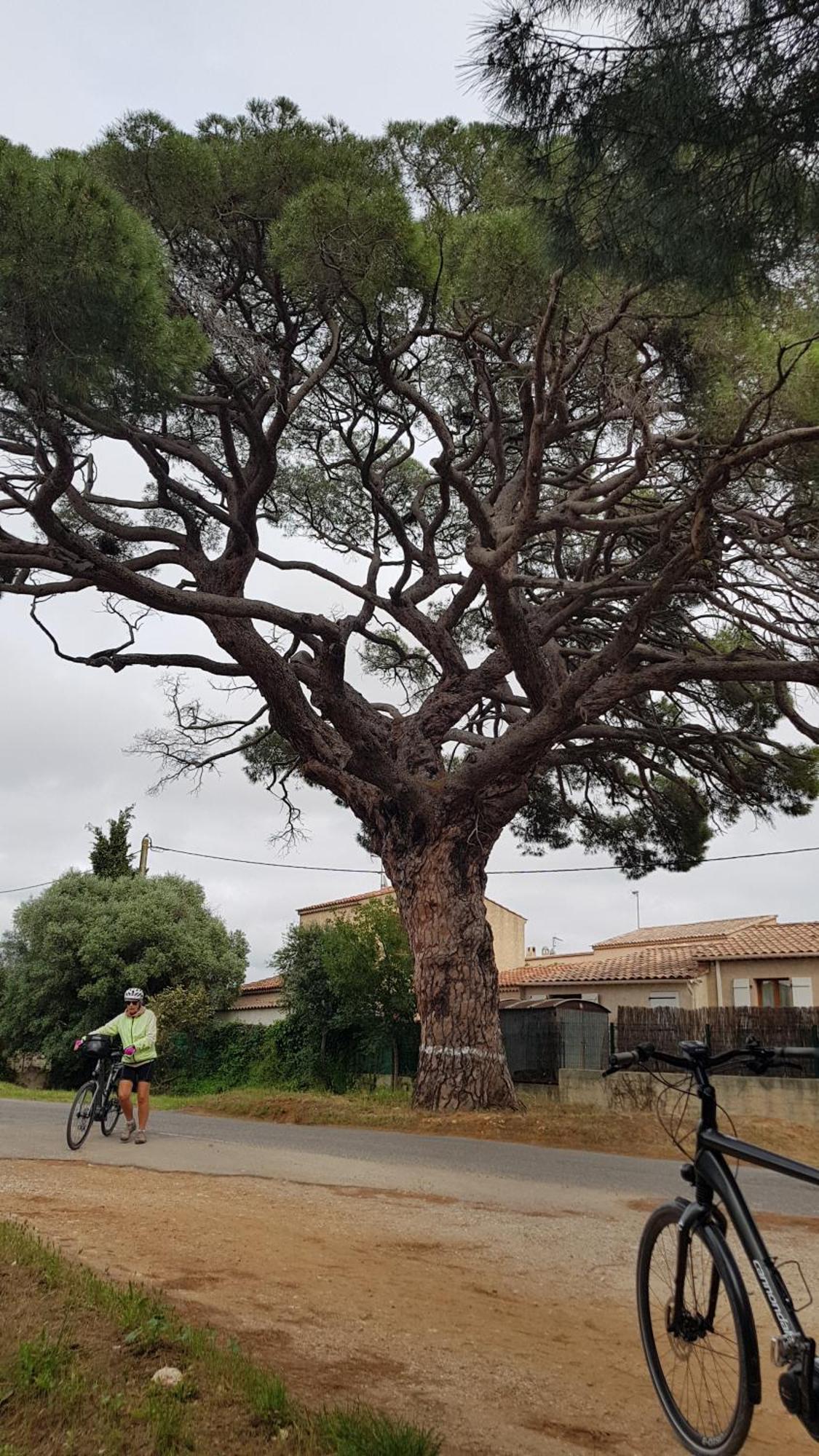 Rez De Jardin T3 Recent Et Calme Au Nouvelles Terres A La Londe Les Maures Apartamento Exterior foto