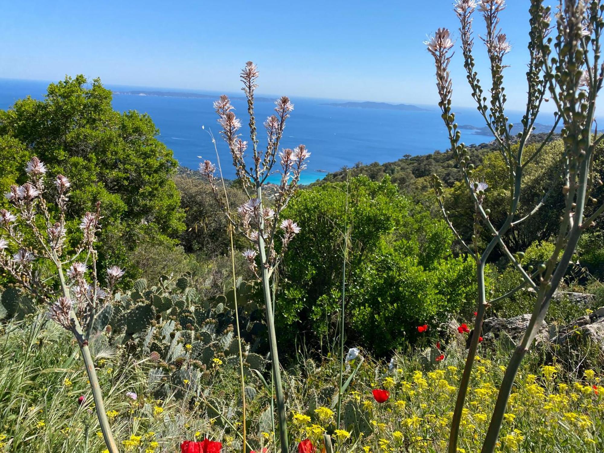 Rez De Jardin T3 Recent Et Calme Au Nouvelles Terres A La Londe Les Maures Apartamento Exterior foto