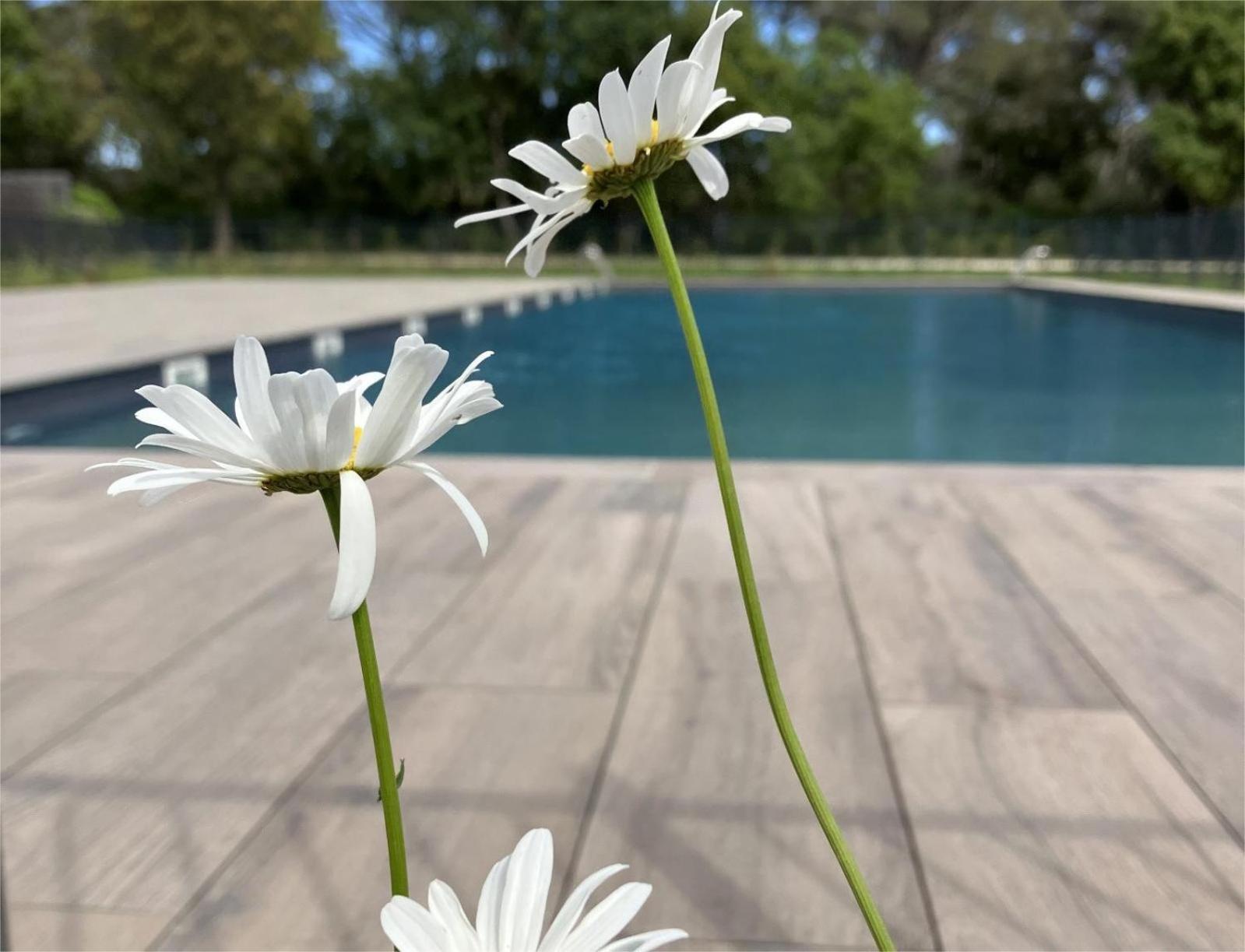 Rez De Jardin T3 Recent Et Calme Au Nouvelles Terres A La Londe Les Maures Apartamento Exterior foto